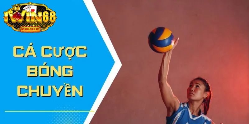 Cá cược bóng chuyền tại nền tảng được yêu thích hiện nay